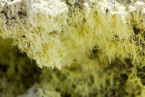 Sulfur Crystals