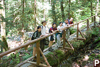 Standing On A Log Bridge