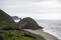 Beach And Windswept Bluffs