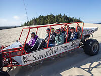 Out In Sand Dunes