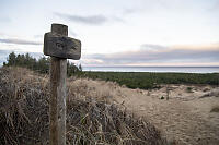 Trail Sign In Sand Dunes