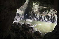 Two Sealions In Otherwise Empty Cave