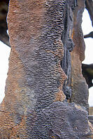 Cells Forming On Rusting Metal