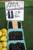 Huckelberries