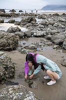 Tidepooling