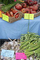 Tomatoes And Garlic