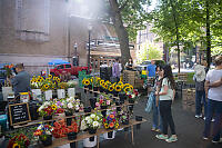 Flower Stand