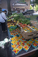 Table Of Tomatoes