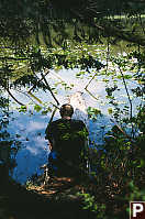 David On Log