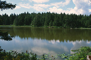 Roe Lake