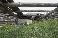 Log Home Missing Roof