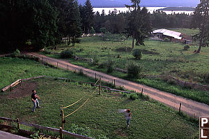 Playing Badminton