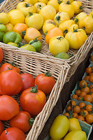 Various Tomatoes