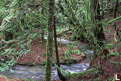 S Bend on Duck Creek