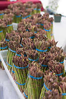 Local Asparagus