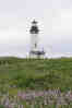 Yaquina Head Lighthouse