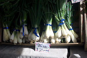 Baby Walla Walla Onions