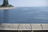 Crabbing Lines Worn Into Handrail