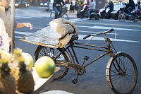 Ice Delivery Bike
