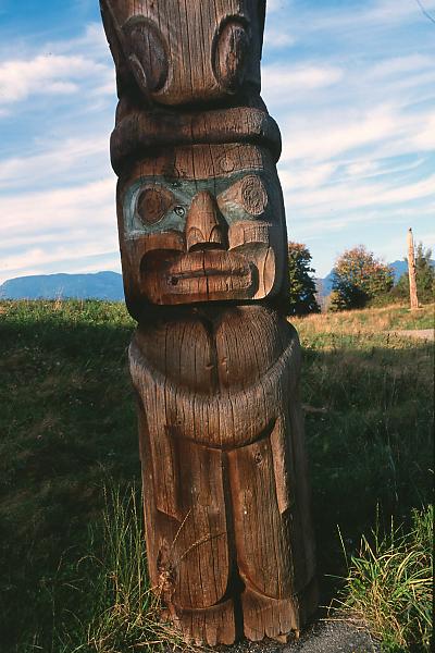 Pole In Field