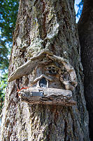 Jump For Joy Fairy Home