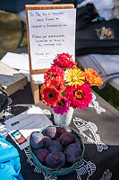 Plums With Flowers