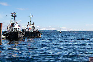 Tugboats And Ferry