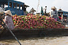 Boat Full Of Dragon Fruit