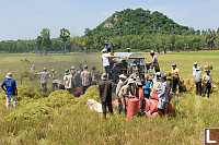 Community Threshing