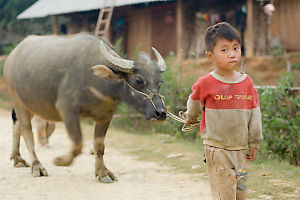 Walking By With My Buffalo