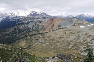 View From Little Whistler