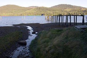 Old Pier Next To Stream