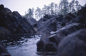 Columnar Surge Channel