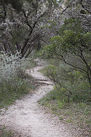 Ridgewalk Trail