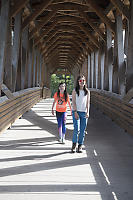 Walking On Wooden Bridge