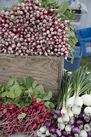 Radishes And Onions At Market