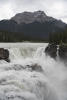 Athabasca Falls At Full Flow