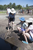 Feeding Emu Chick Williow