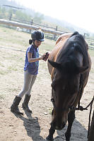 Claira Brushing Horse