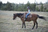 Claira On Her Horse
