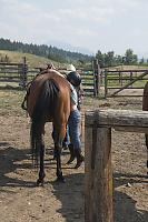 Dismount By Tippy Toes