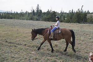 Nara On Her Horse