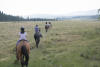 Walking Through Grassy Fields