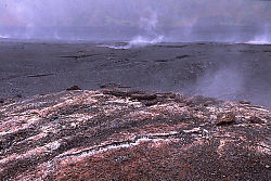 Steam Vents in Kilauea Iki Crater