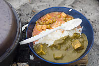 Indian Food Plated