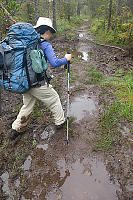 The Trail Is A Little Wet