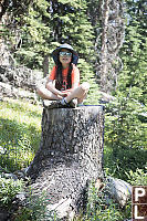 Claira Found Stump