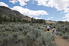 Walking Around Sage Brush