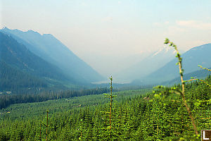 Smoke From Forest Fire