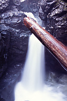 Falls With Log